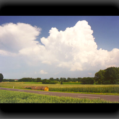 Nach dem Gewitter