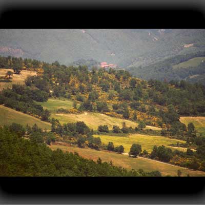 Im Süden - trocken