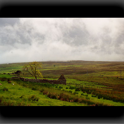 Craft Ruine im Hochmoor Craft Ruine im Hochmoor