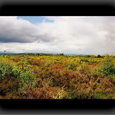 Culloden Field Culloden Field