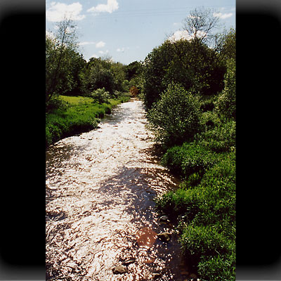 River Jed - in der Abendsonne River Jed - in der Abendsonne