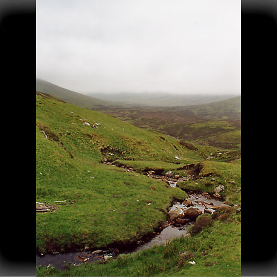 Nebel in den Grampian Mountains Nebel in den Grampian Mountains