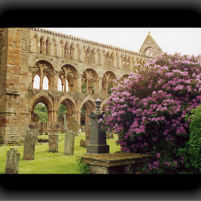 Jedburgh Abbey