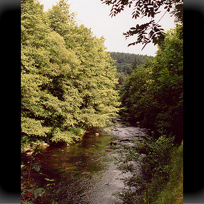 Harz - beschaulich