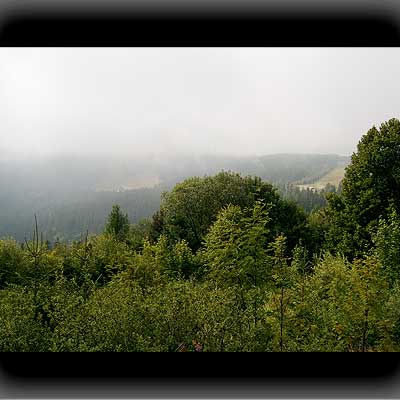 Bayerischer Wald