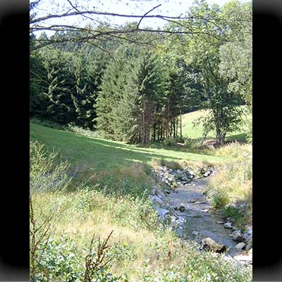 Idylle am Bach