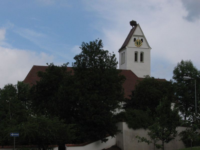 Störche