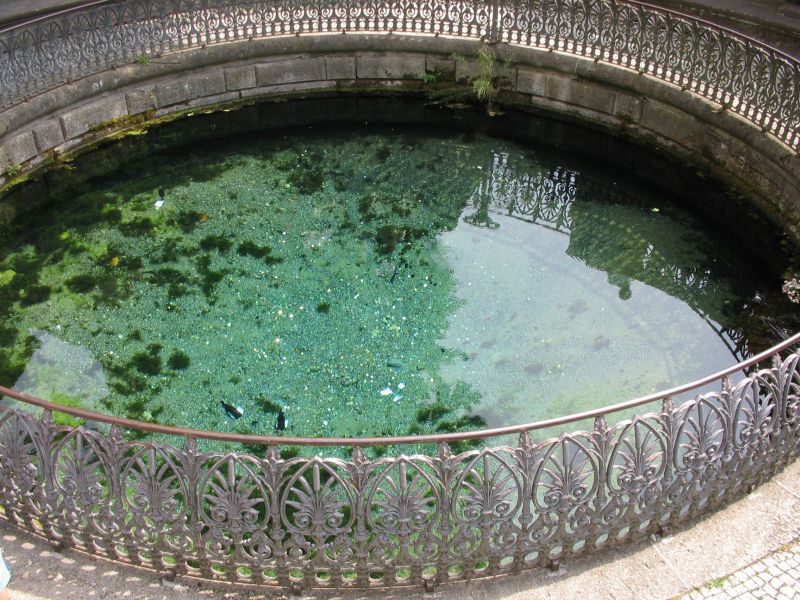 Die Donauquelle