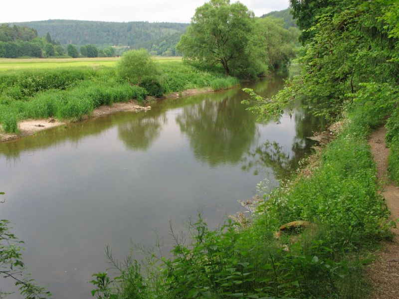 Donau-Versickerung