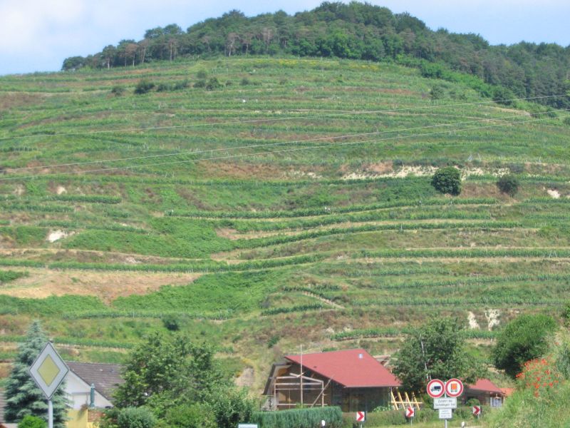 Am Kaiserstuhl