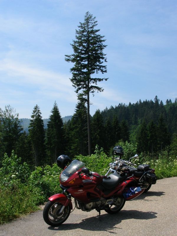 Pause auf der Schwarzwald-Höhe