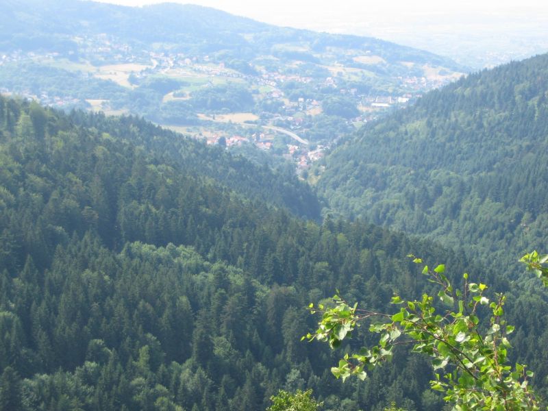 Der nördliche Schwarzwald