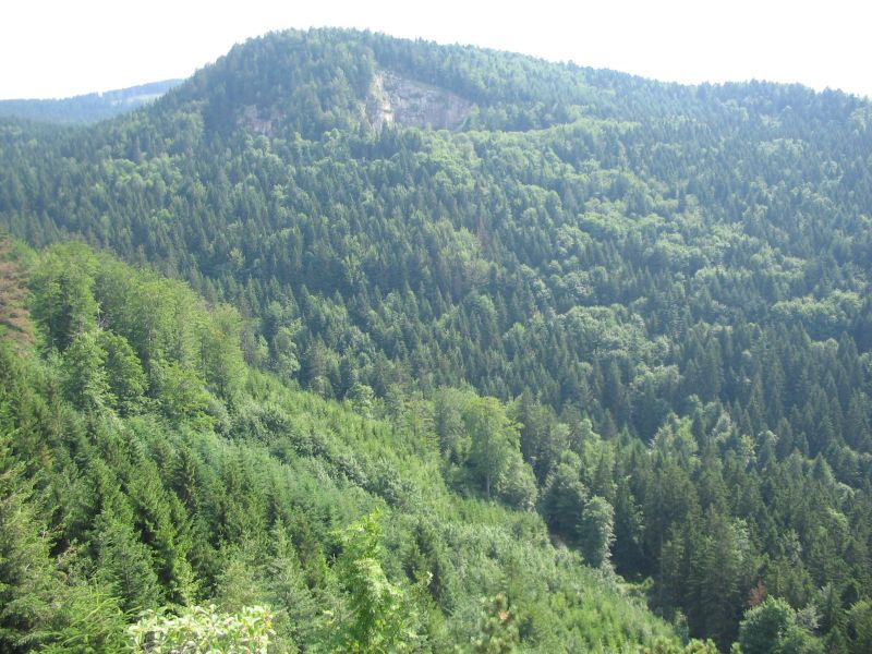 Der nördliche Schwarzwald