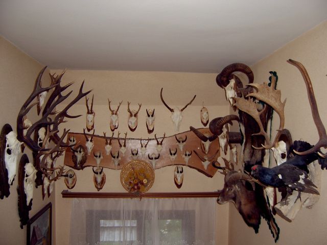 Jagdtrophäen