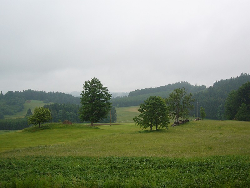 Beim Dorfwirt Rocky in Liebenau