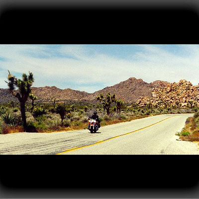 Joshua Tree NP